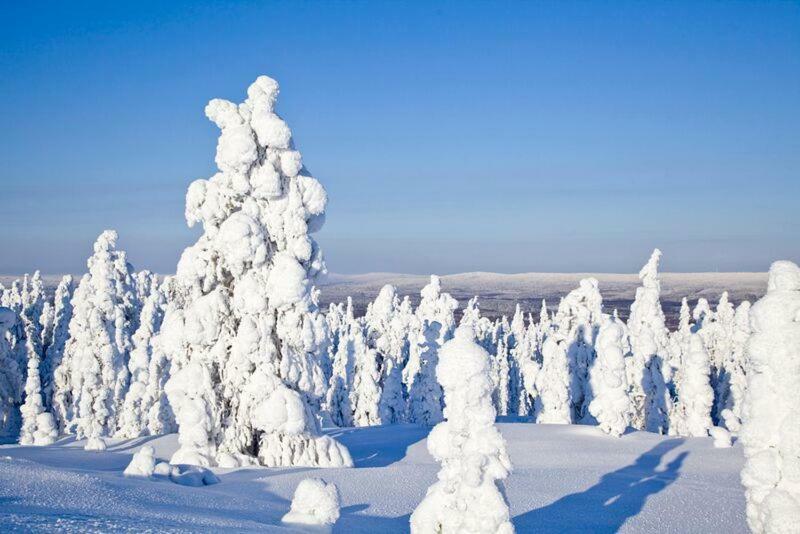 Rovavisit Apartments Siljo Rovaniemi Bagian luar foto